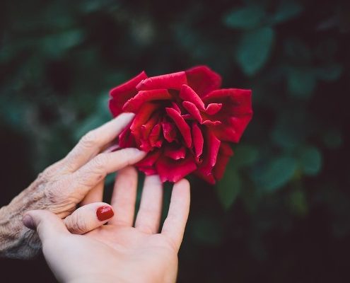 Show Your Elderly Family Members Some Love
